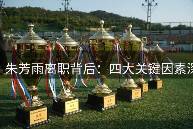 朱芳雨离职背后：四大关键因素深度解析